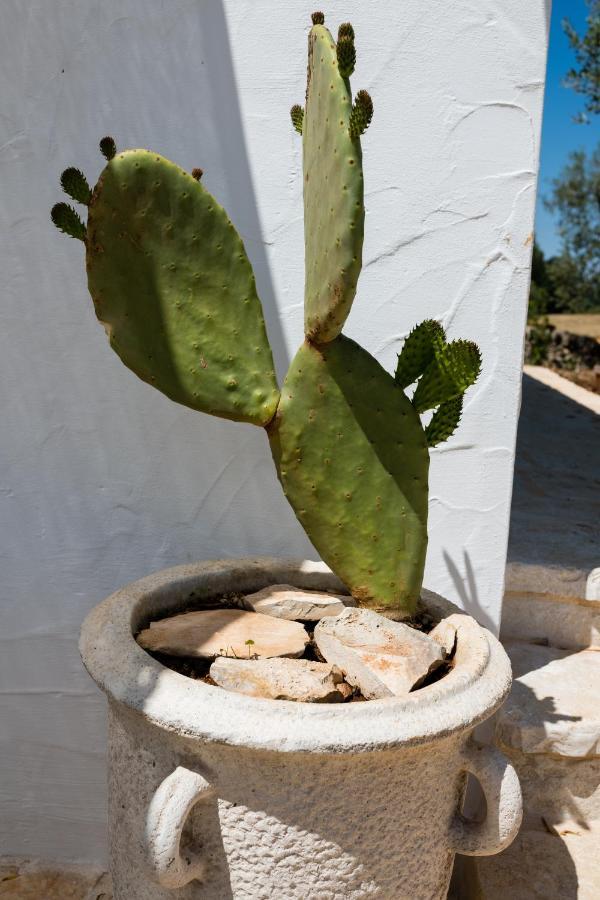 Il Trullo Della Rondinina Alberobello Exterior foto