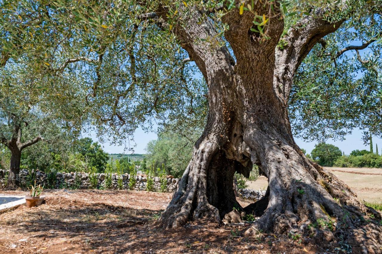 Il Trullo Della Rondinina Alberobello Exterior foto